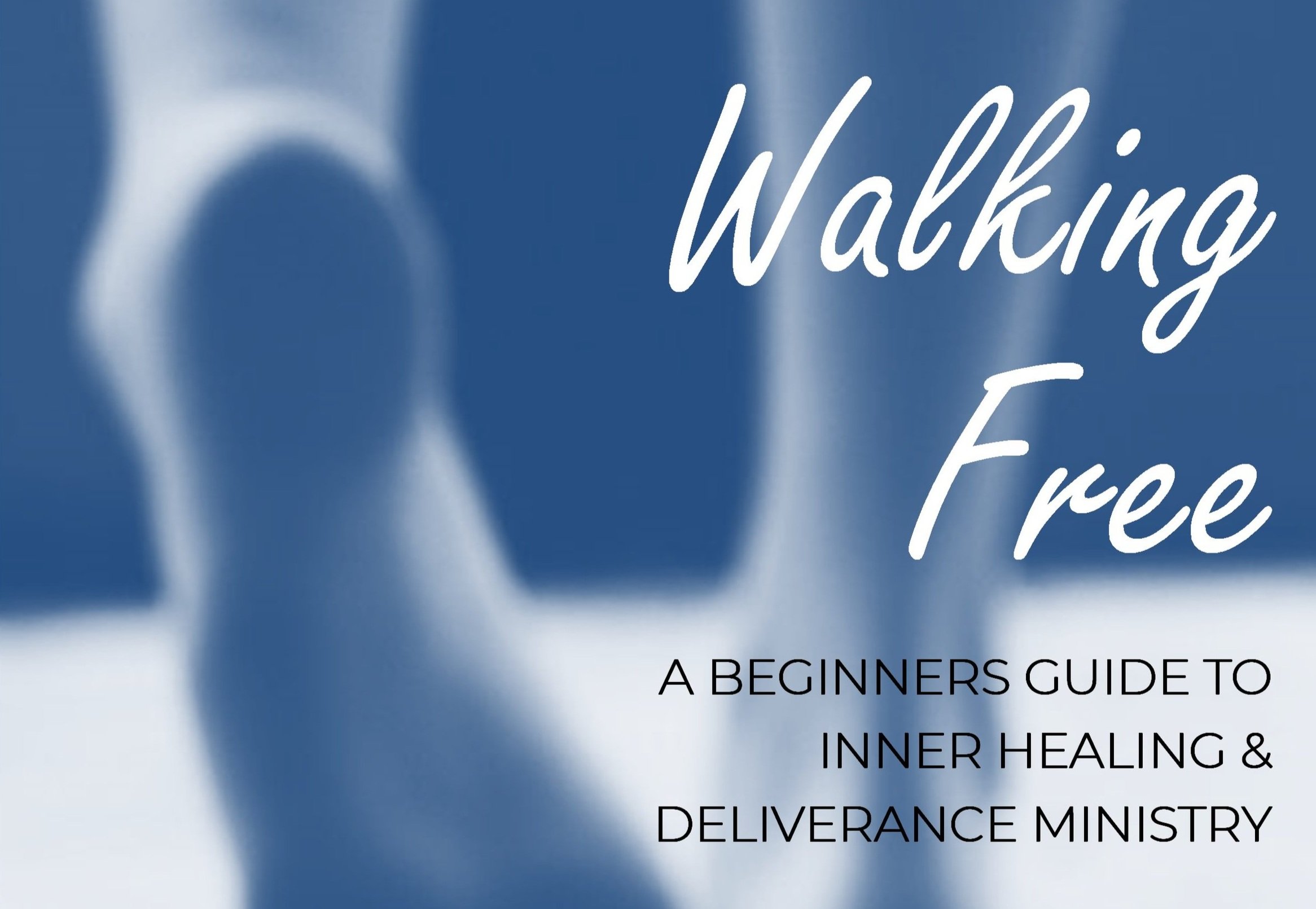 Walking Free manual cover